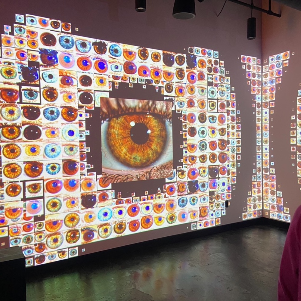 Meet your Posher, Sophia